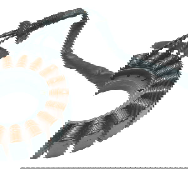 Estator Harley Electra Glide Touring 17-19 Original