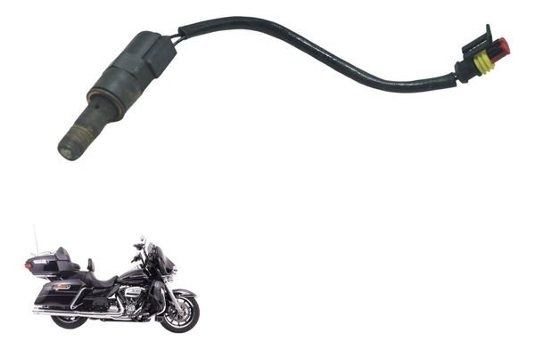 Sensor Descompressor Harley Electra Glide Touring 17-19 Orig