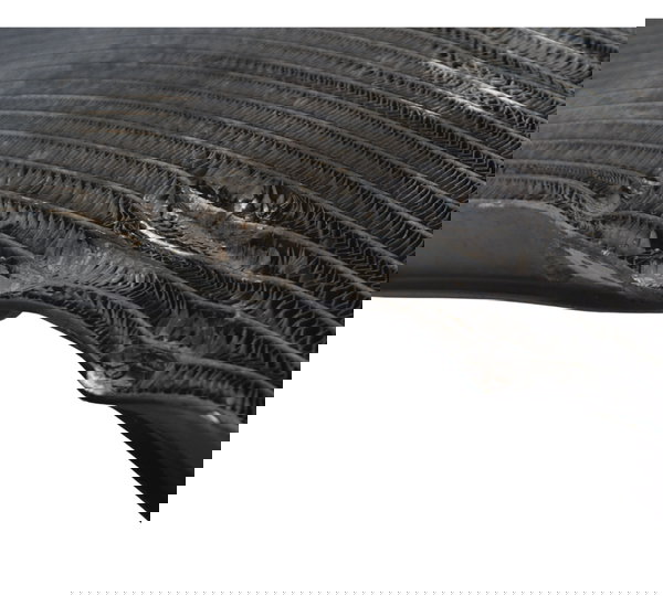 Radiador Água C/ Avaria Yamaha Yzf R1 07-08 Original