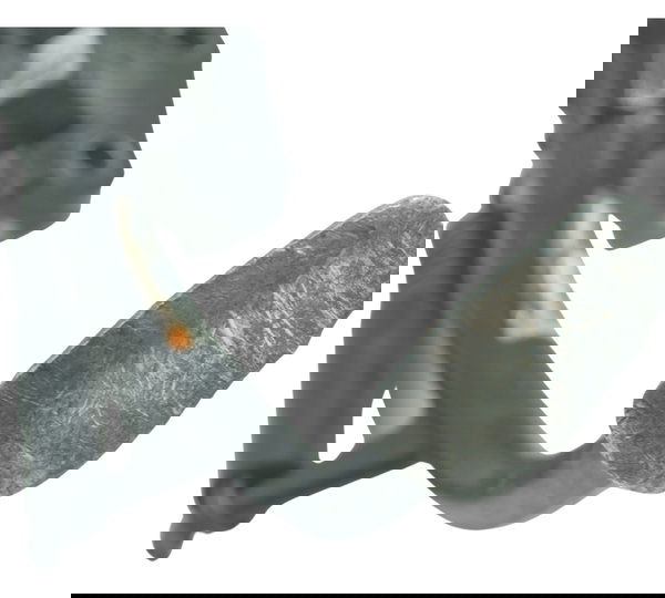 Pedal Descanso Lateral C/avaria Yamaha Yzf R1 09-15 Original