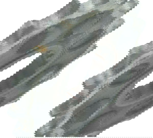 Pinhão 17 Dentes C/avaria Yamaha Yzf R1 09-15 Original