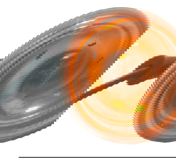 Pisca Dianteiro S/plug Harley Fat Bob M8 Fxfb 18-23 Original