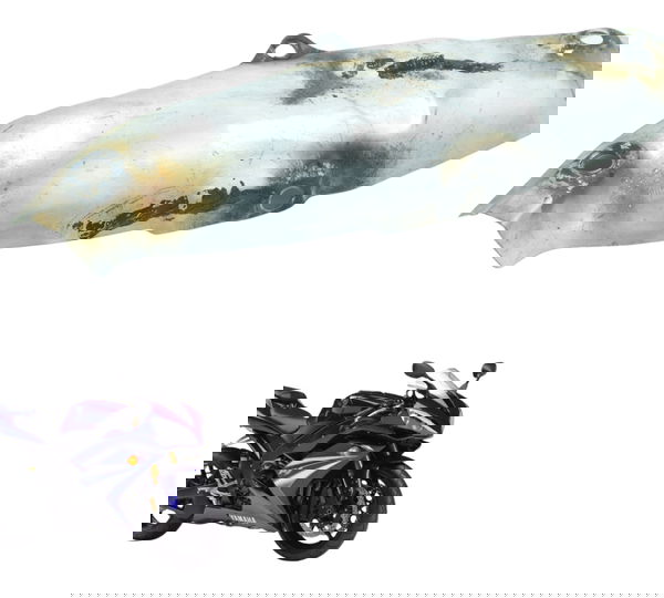 Capa Proteção Curva C/ Detalhes Yamaha Yzf R1 07-08 Original