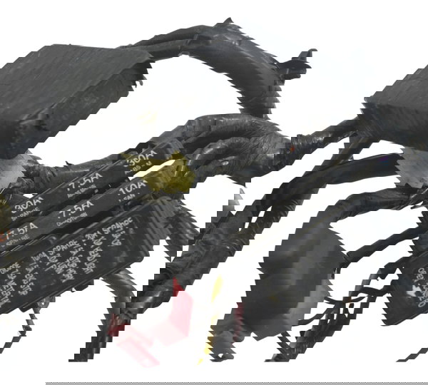 Chicote Principal Honda Cb 650f 18-21 Original