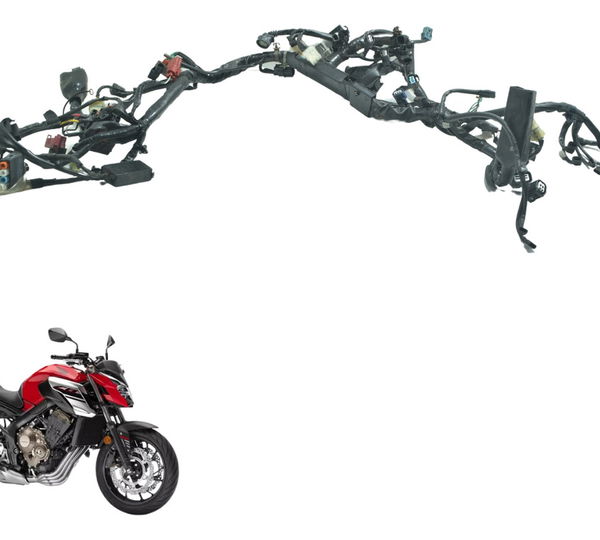 Chicote Principal Honda Cb 650f 18-21 Original