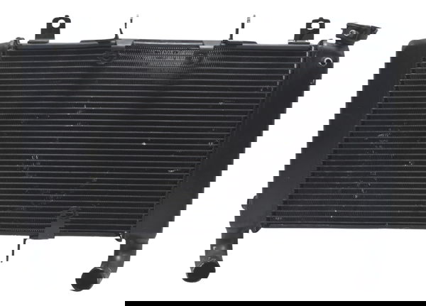 Radiador Água Honda Cb 650f 18-21 Original