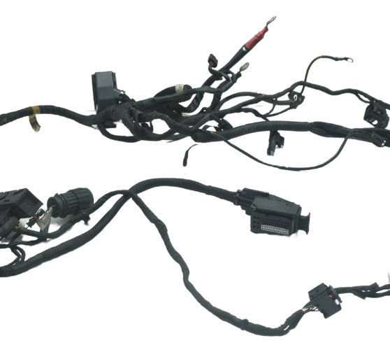 Chicote Principal Bmw F 800 Gs 09-12 Original