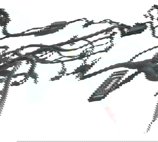 Chicote Principal Bmw F 800 Gs 09-12 Original