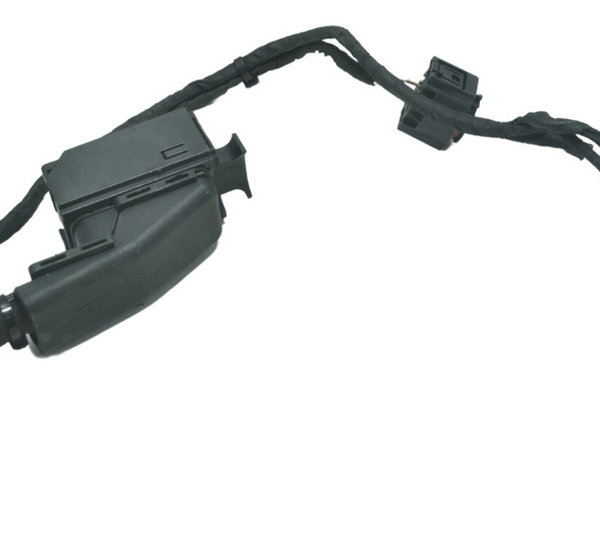 Chicote Principal Bmw F 800 Gs 09-12 Original