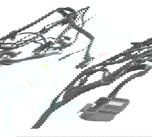 Chicote Principal Bmw F 800 Gs 09-12 Original