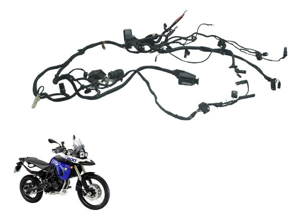 Chicote Principal Bmw F 800 Gs 09-12 Original