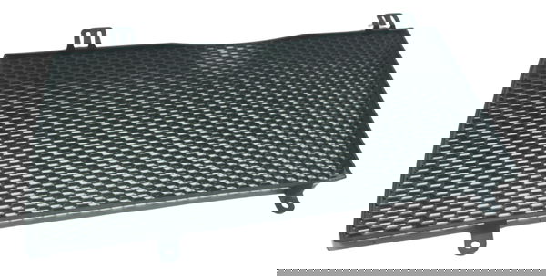 Grade Proteção Radiador Bmw F 800 Gs 09-12 Original