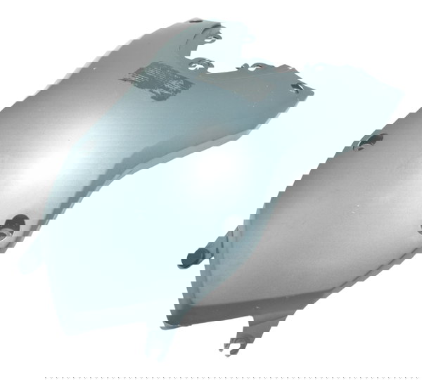 Capa Central Tanque Bmw F 800 Gs 09-12 Original