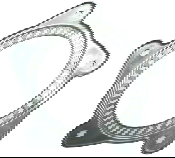 Roda Fônica Traseira Bmw F 800 Gs 09-12 Original