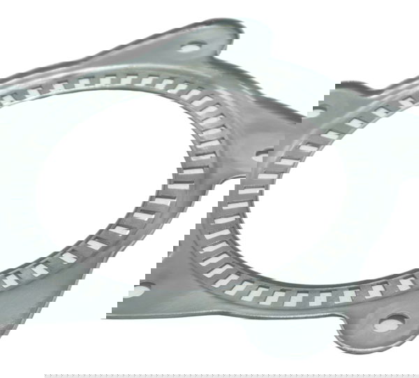 Roda Fônica Traseira Bmw F 800 Gs 09-12 Original