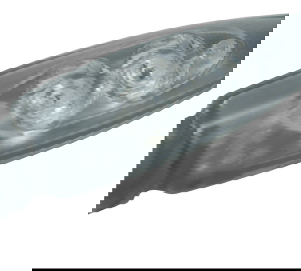 Pisca Traseiro C/ Detalhes Bmw F 800 Gs 09-12 Original