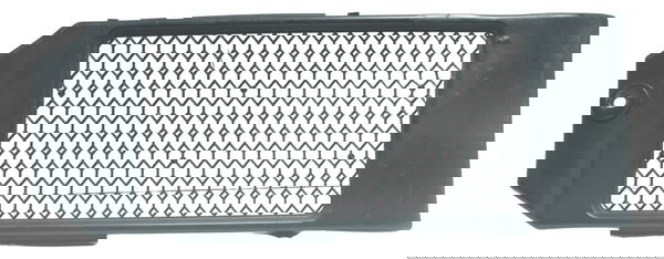 Grade Proteção Radiador C/avaria Honda Shadow 750 06-08 Orig
