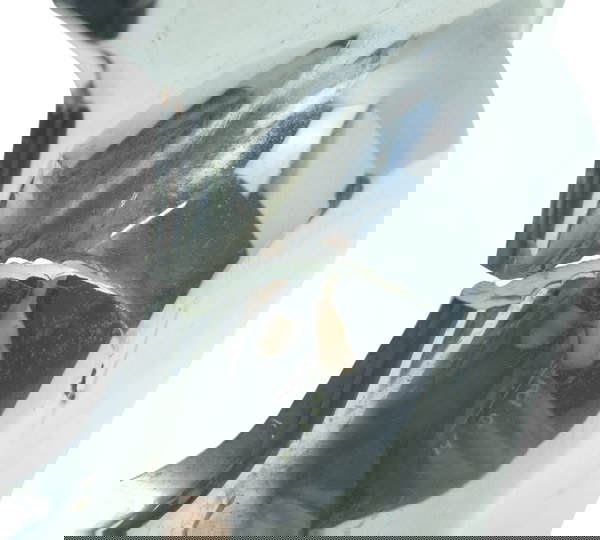 Tampa Motor C/ Avaria Honda Shadow 750 06-08 Original