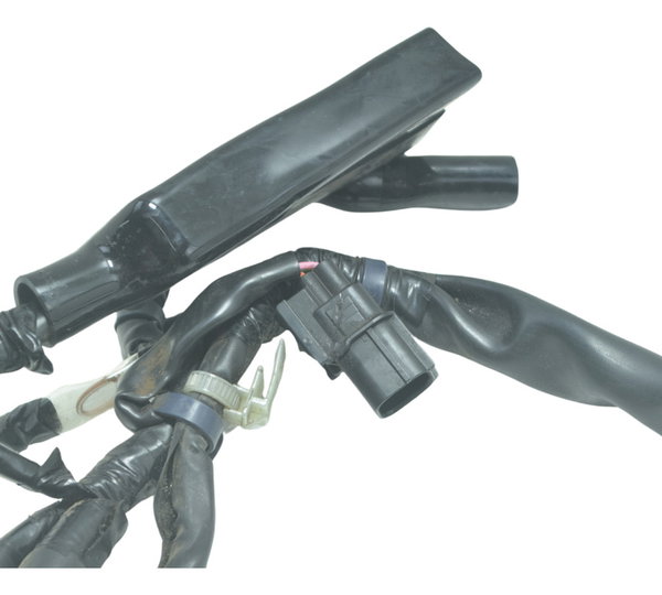 Chicote Farol Honda Cb 650f 18-21 Original