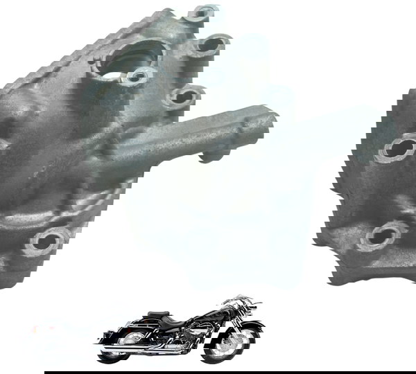 Carcaça Cardan Honda Shadow 750 06-08 Original