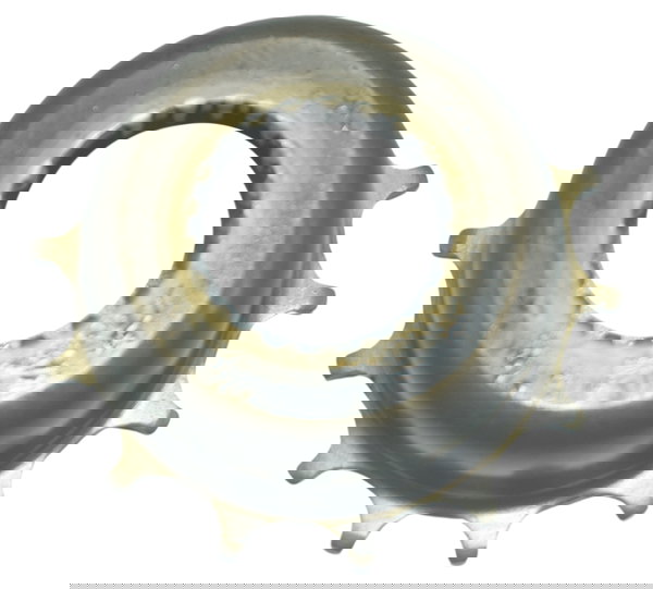 Rotor Pulsador Honda Shadow 750 06-08 Original