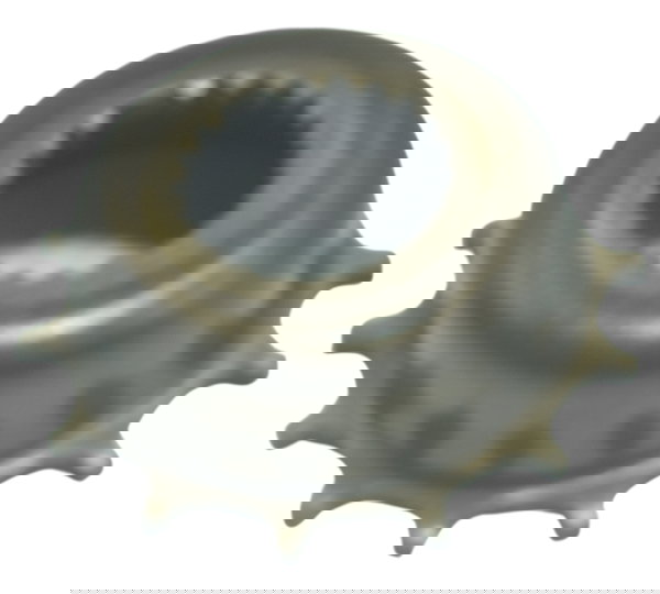 Rotor Pulsador Honda Shadow 750 06-08 Original