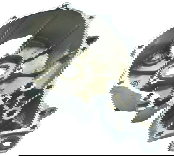 Tampa Estator C/avaria Honda Shadow 750 06-08 Original Prateado