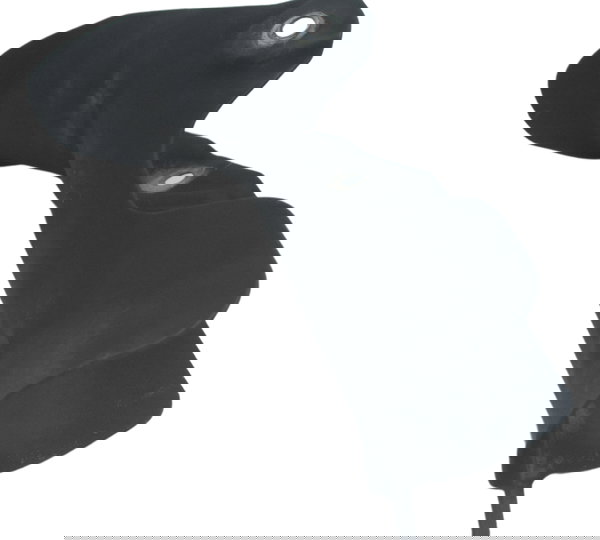 Capa Proteção Curva Escape Honda Xre 190 19-24 Original