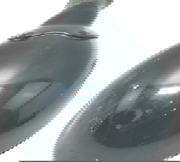 Carcaça Farol Auxiliar C/det  Harley Electra Glide Original Ambos Lados