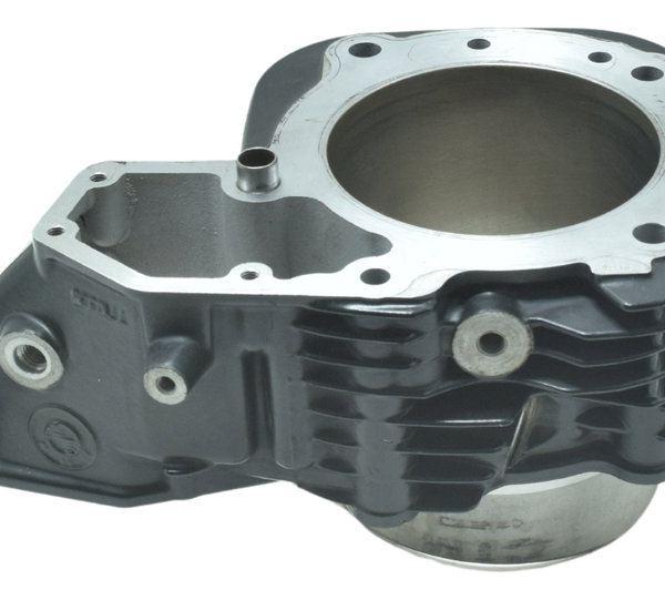 Cilindro Motor Esquerdo Bmw R 1200 09-12 Original