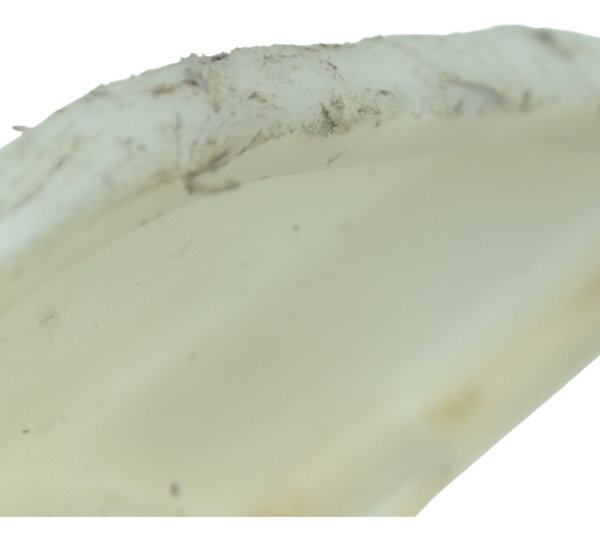 Guia Corrente C/ Detalhes Honda Xre 190 19-24 Original