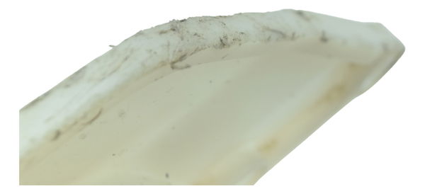 Guia Corrente C/ Detalhes Honda Xre 190 19-24 Original