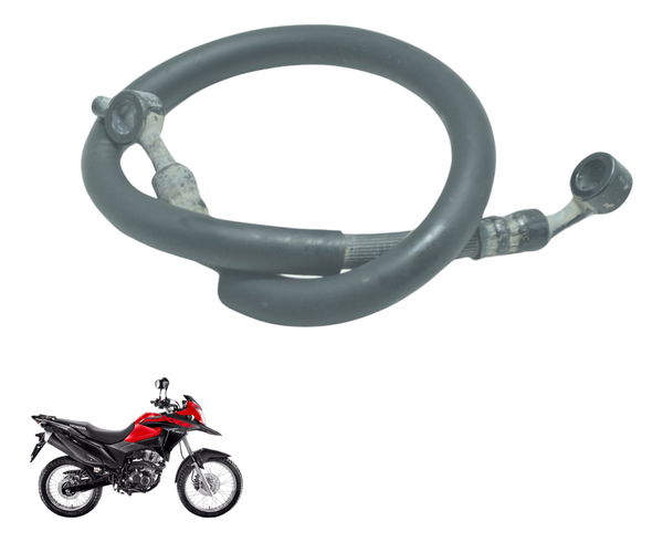 Flexível Freio Traseiro Honda Xre 190 19-24 Original