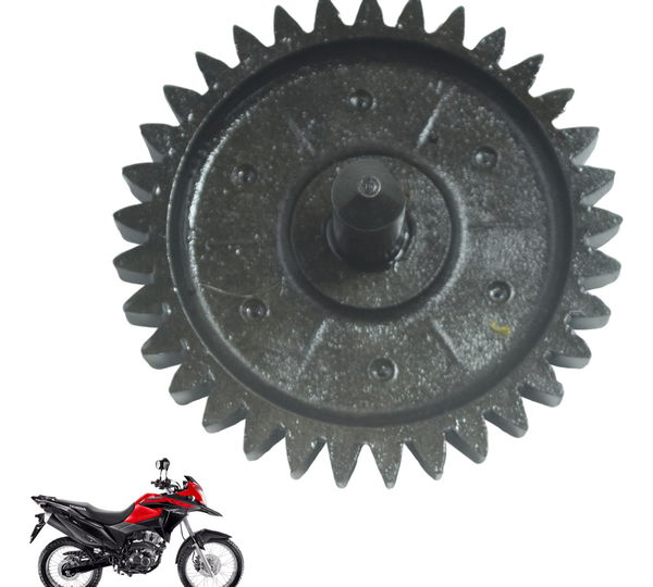 Engrenagem Bomba Óleo Honda Xre 190 19-24 Original