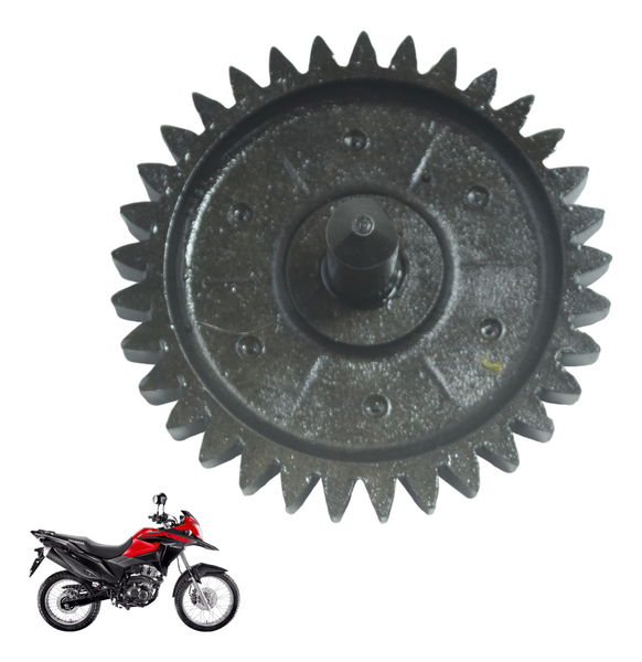 Engrenagem Bomba Óleo Honda Xre 190 19-24 Original