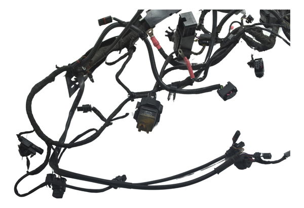 Chicote Principal Bmw R1200 R 1200 Gs 13-15 Original