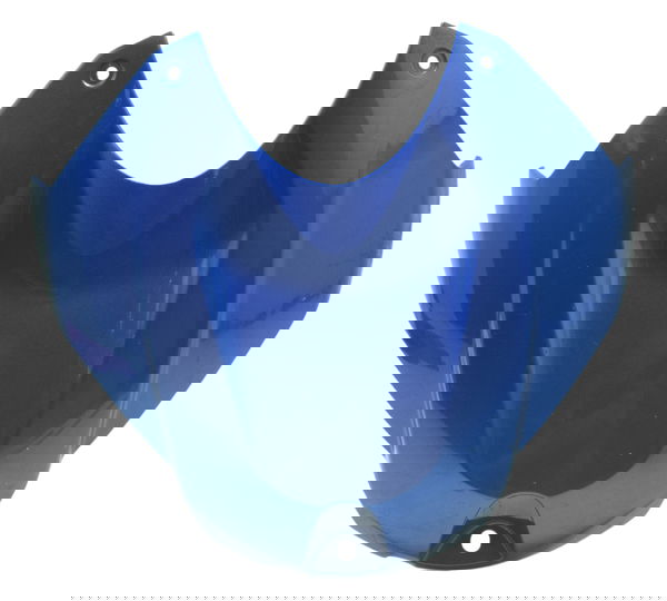 Carenagem Tampa Tanque C/avaria Bmw S 1000 Rr 15-19 Original Azul