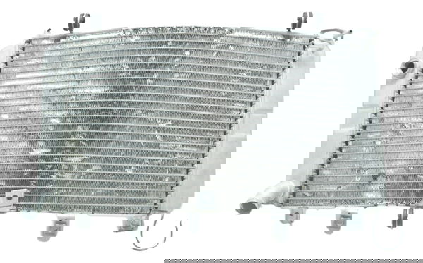 Radiador Suzuki Hayabusa 99-07 Original