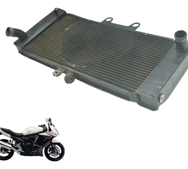 Radiador C/ Avaria Suzuki Gsx 650f 09-12 Original