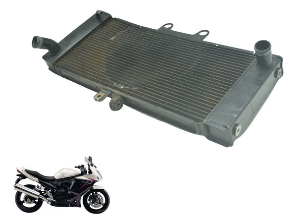 Radiador C/ Avaria Suzuki Gsx 650f 09-12 Original