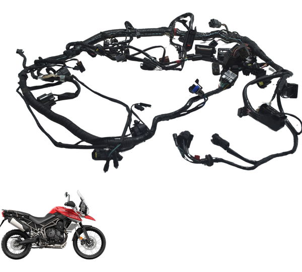 Chicote Principal Triumph Tiger 800 Xca 18-20 Original