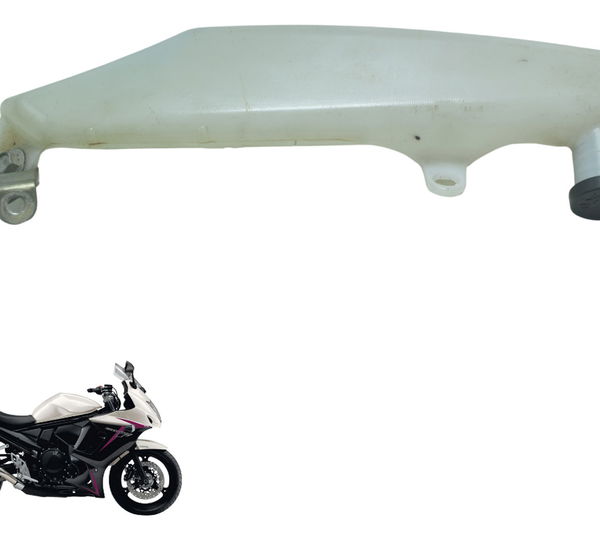 Reservatório Agua Suzuki Gsx 650f 09-12 Original