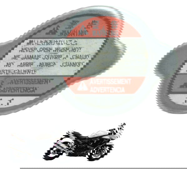 Tampa Radiador Suzuki Gsx 650f 09-12 Original