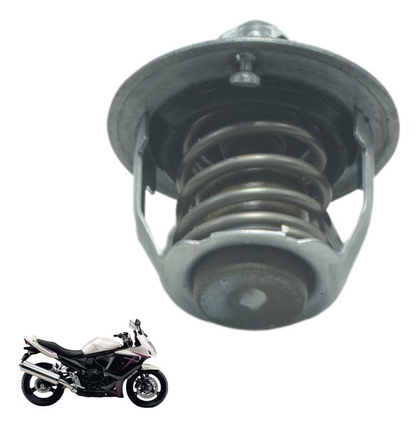 Válvula Termostática Suzuki Gsx 650f 09-12 Original