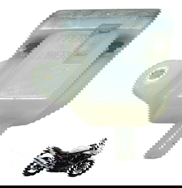 Reservatório Freio Traseiro Suzuki Gsx 650f 09-12 Original