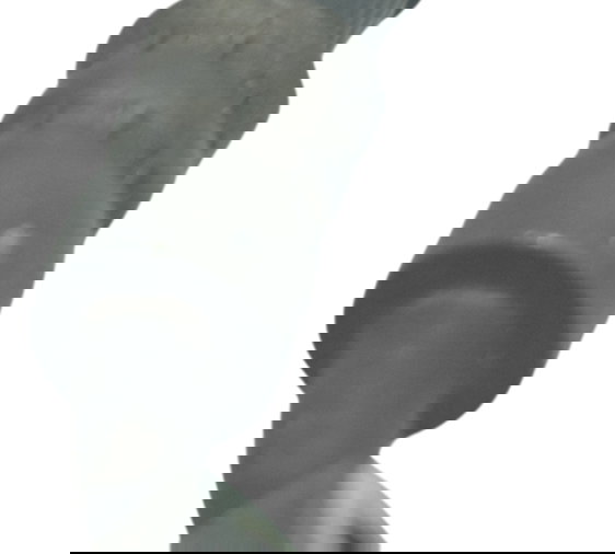 Flexível Freio Traseiro Suzuki Gsx 650f 09-12 Original