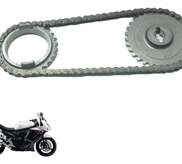 Engrenagem Corrente Bomba Óleo Suzuki Gsx 650f 09-12 Orig