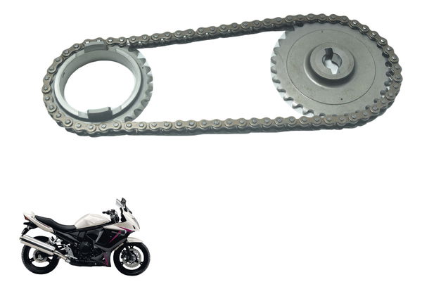 Engrenagem Corrente Bomba Óleo Suzuki Gsx 650f 09-12 Orig