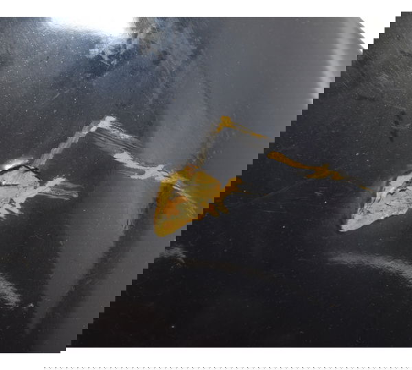 Paralama Dianteiro C/ Avaria Honda Cb 600f Hornet 08-11 Orig