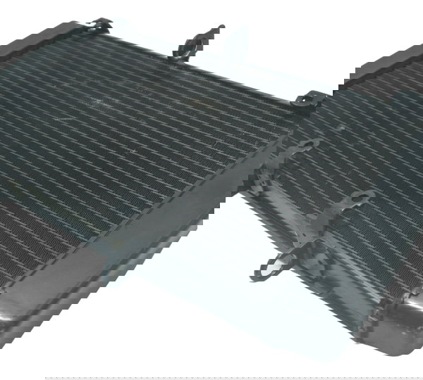 Radiador C/ Detalhes Honda Cb 600f Hornet 08-11 Original